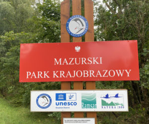 Bitwa o Polanę Ukciańską nad Krutynią