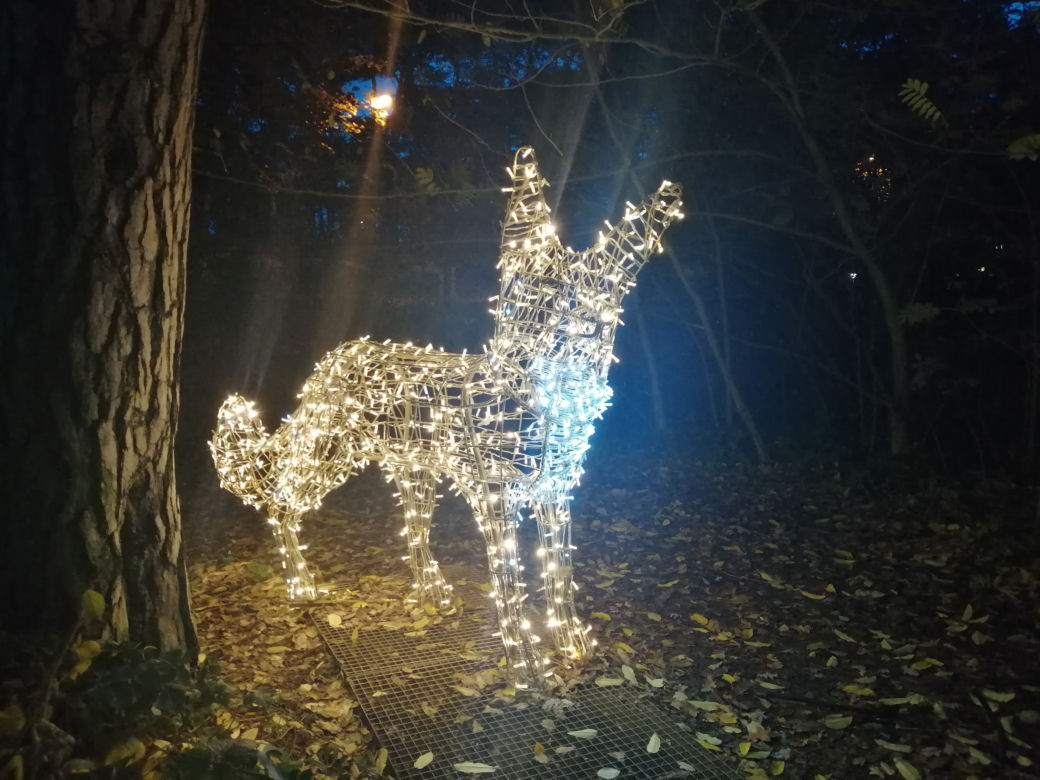 Park Iluminacji w Poznaniu