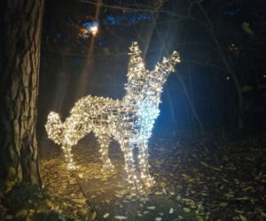 Park Iluminacji w Poznaniu