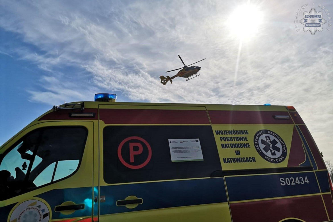 Dramatyczny wypadek podczas wycinki drzewa. 14-latek przygnieciony przez konar. Chłopak walczy o życie