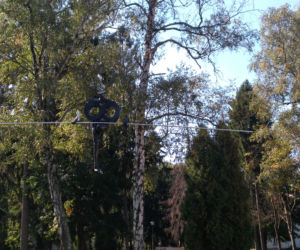 Balansujące rzeźby w szpitalu im. Babińskiego