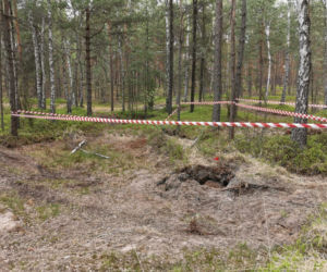 Niewybuchy w lesie pod Mińskiem 