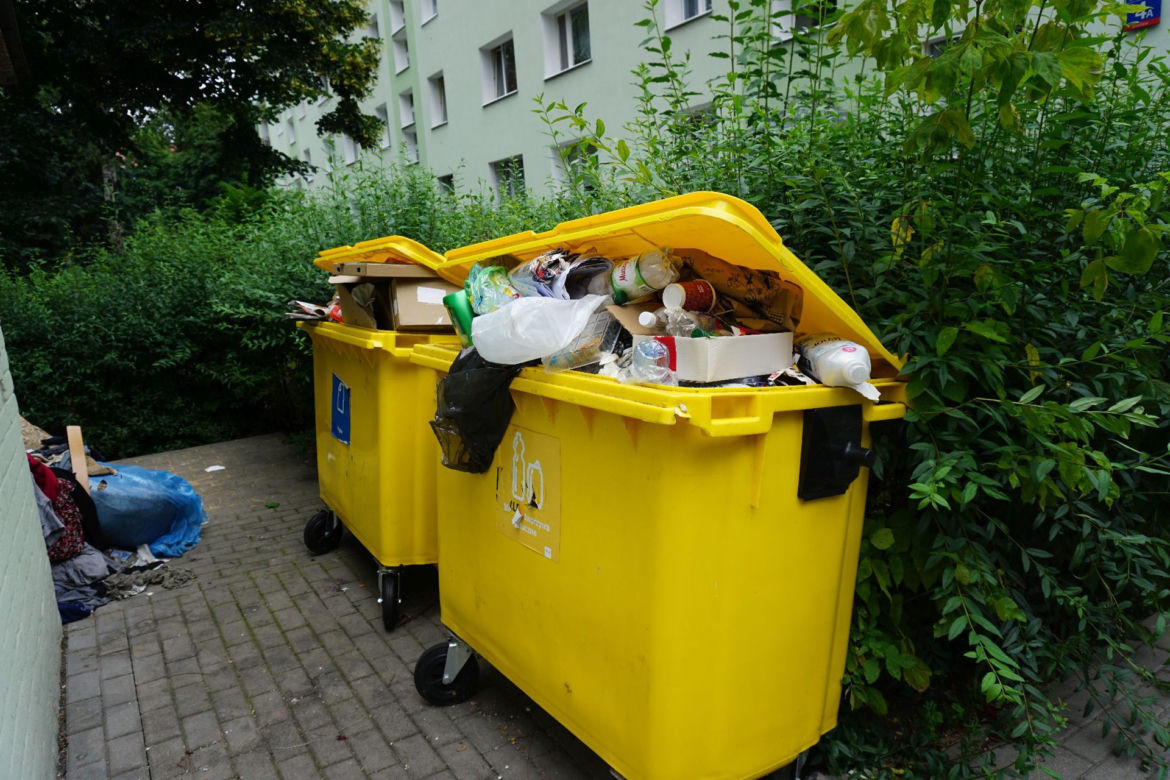 W śmietnikach czai się zaraza