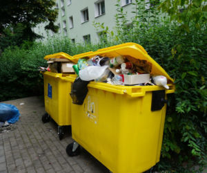 W śmietnikach czai się zaraza