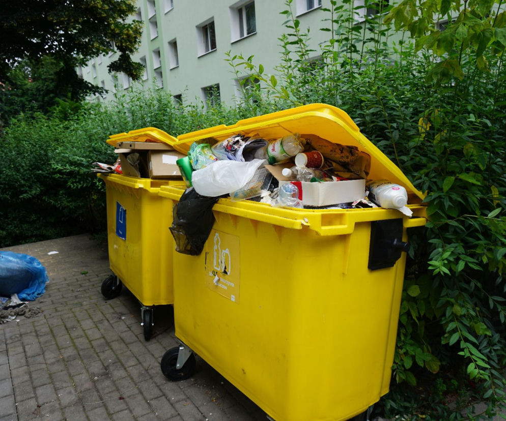 W śmietnikach czai się zaraza