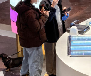 Sonia Bohosiewicz na lodach