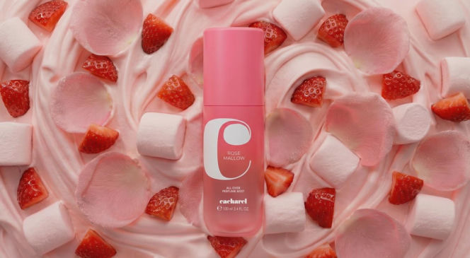 Rose Mallow