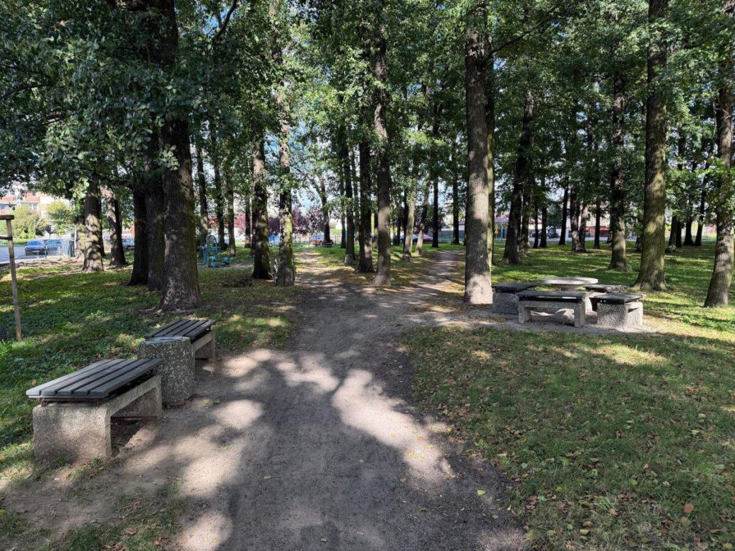 Na Gronowie powstanie park z podwieszaną kładką