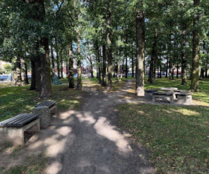 Na Gronowie powstanie park z podwieszaną kładką
