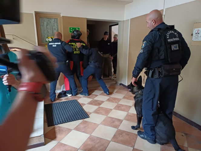 Psy służbowe, szkolenia i strefa pierwszej pomocy. Trwa drugi dzień CERBERUS K9 w Ostrowie