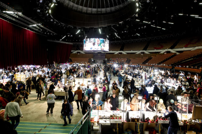 Giełda minerałów w Spodku przyciągnęła tłumy! GeoExpo ekspozycję wspaniałych cudeniek