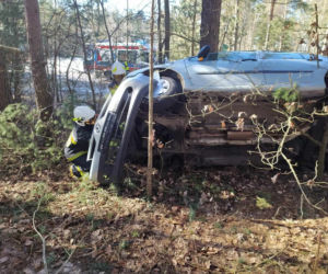 Wypadek na DW 686. Kierowca renault zaparkował między drzewami [ZDJĘCIA]