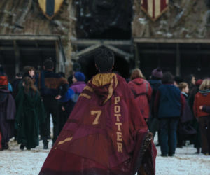 Dominic McLaughlin jako Harry Potter