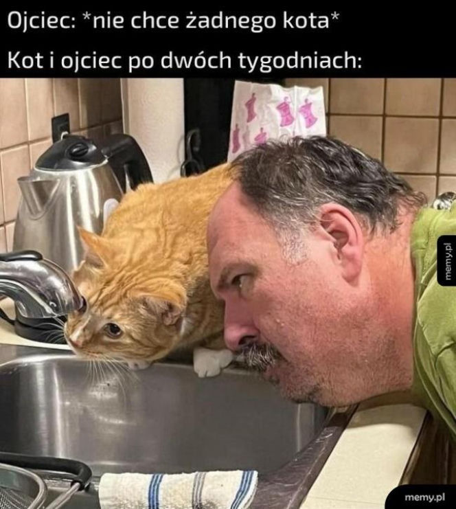 nawyki "typowych ojców"