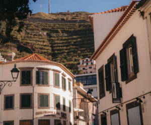 Madera - ostatni punkt naszego rejsu EOZ 2026