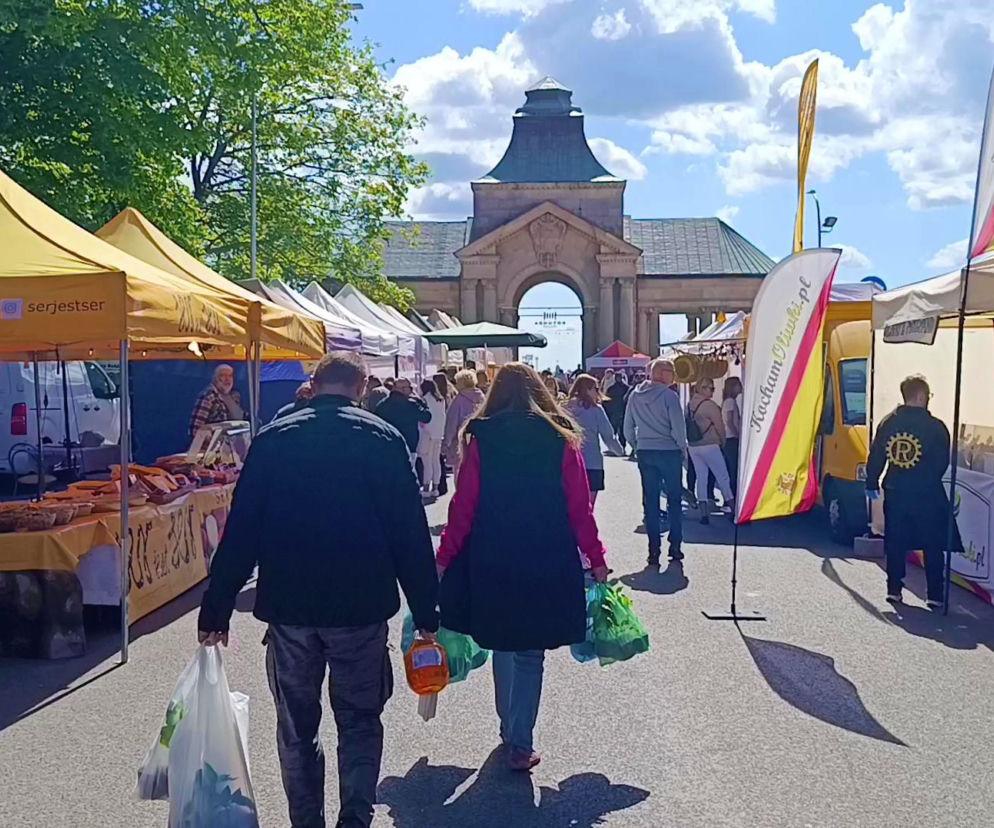 Tłumy na Wałach Chrobrego. Szczecinianie ruszyli po rośliny i regionalne przysmaki