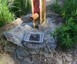 Stowarzyszenie Wywrotka zaprasza na wspólne sprzątanie Plaży Mieleńskiej