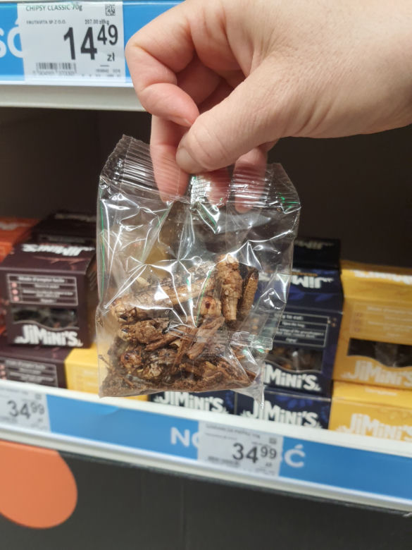 Robaki z Paki