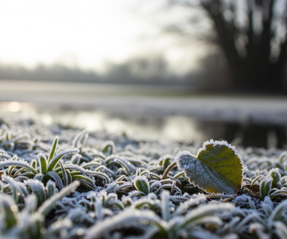 Zimny powrót. Kiedy wiosna znów zaszokuje mrozem?