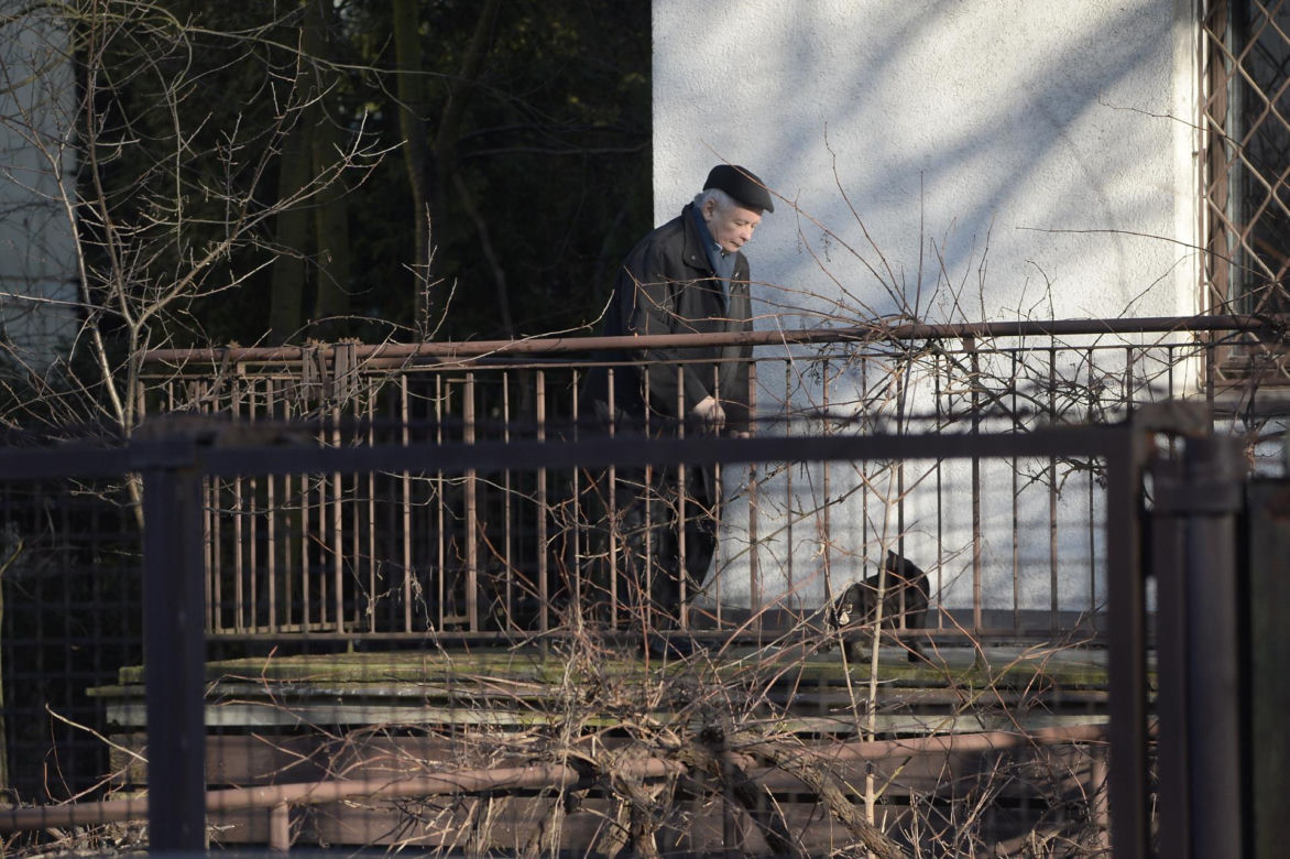 Koty Jarka nas terroryzują