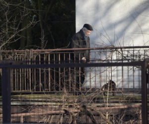 Koty Jarka nas terroryzują