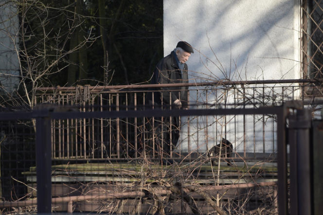 Koty Jarka nas terroryzują