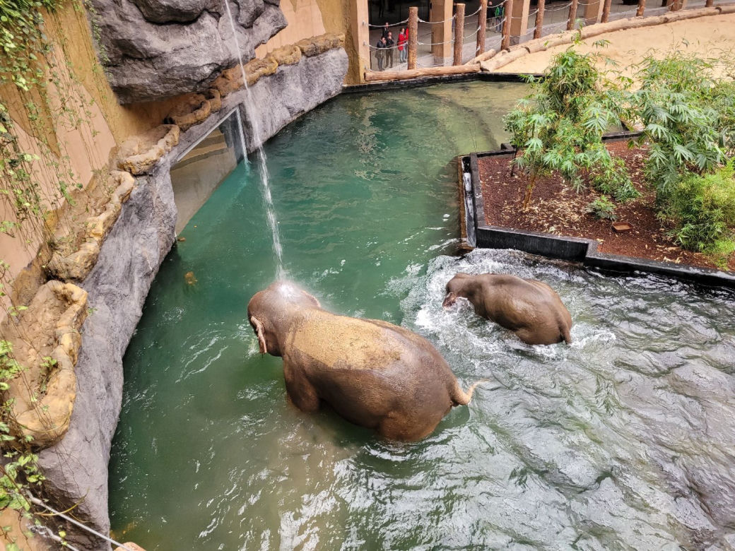 Orientarium Łódź ZOO