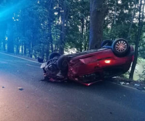 Auto uderzyło w DWA drzewa i dachowało! Świadkowie wyciągali kobietę z auta