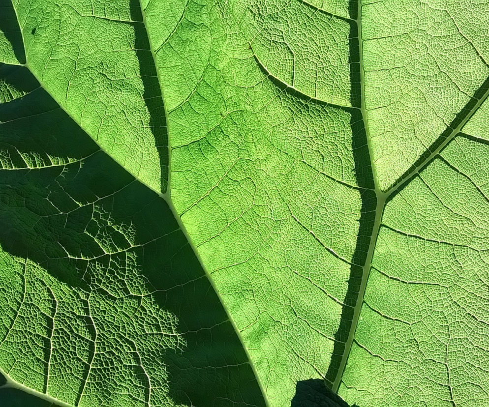 Zapisy na Noc Biologów na UZ trwają