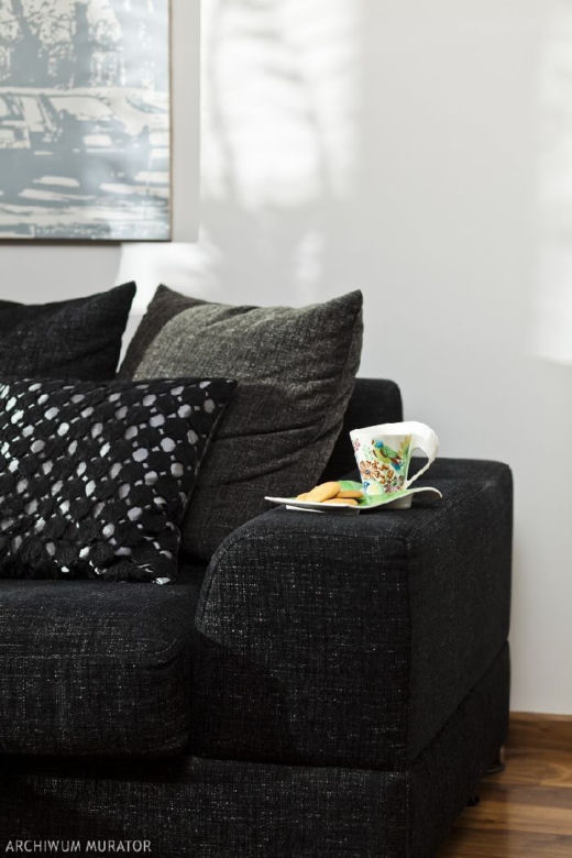 Sofa w nowoczesny salonie