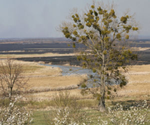 Biebrzański Park Narodowy