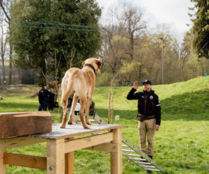 Są pieniądze dla strażaków ochotników. Także z Nowego Sącza 