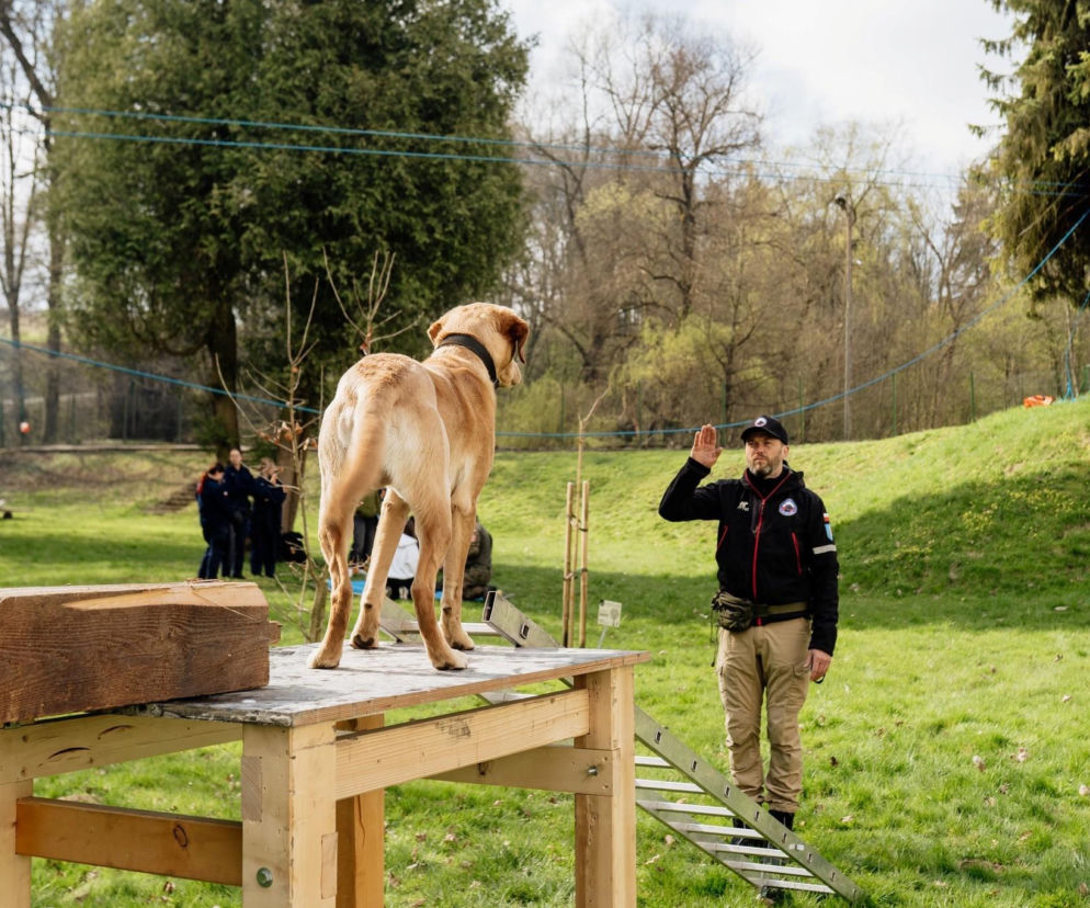 Są pieniądze dla strażaków ochotników. Także z Nowego Sącza 