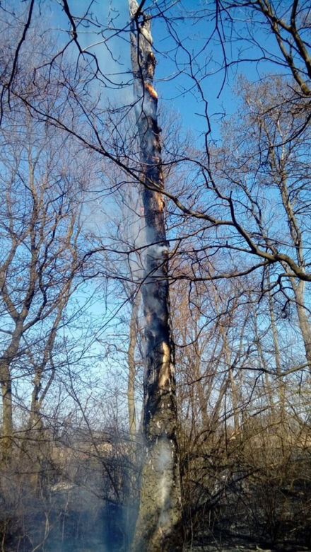 Potężny pożar na Śląsku! Strażacy kilka godzin walczyli z ogniem
