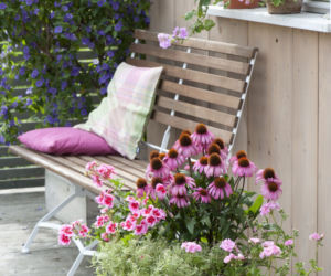 Różowa kompozycja kwiatowa na balkon i taras
