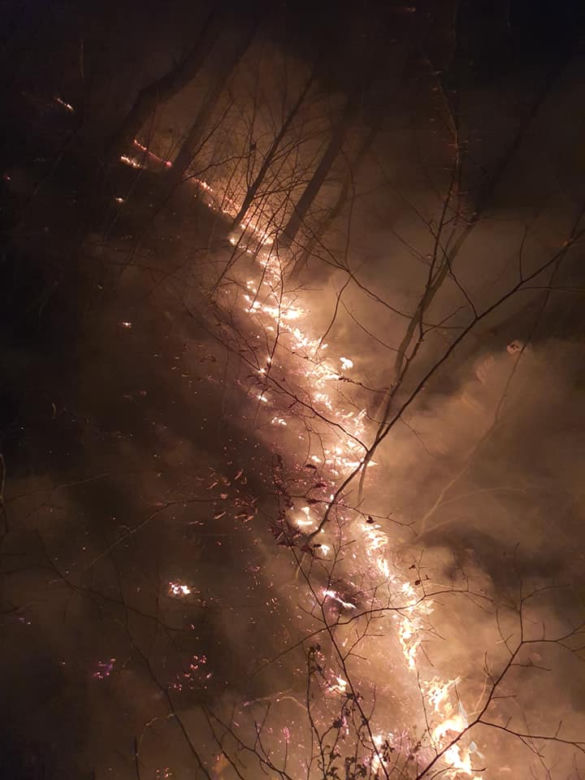 Pożary traw w regionie koszalińskim