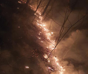 Pożary traw w regionie koszalińskim