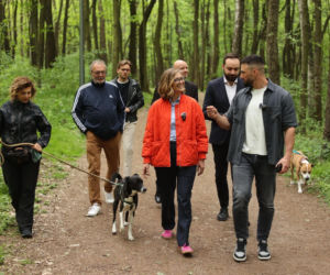 Łukasz Litewka zginął w tragicznym wypadku w Dąbrowie Górniczej
