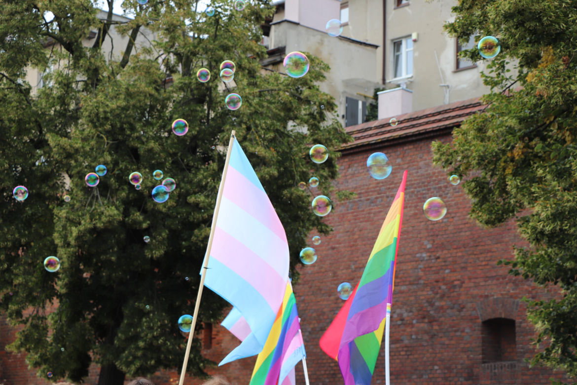Marsz Równości w Toruniu i kontrmanifestacja
