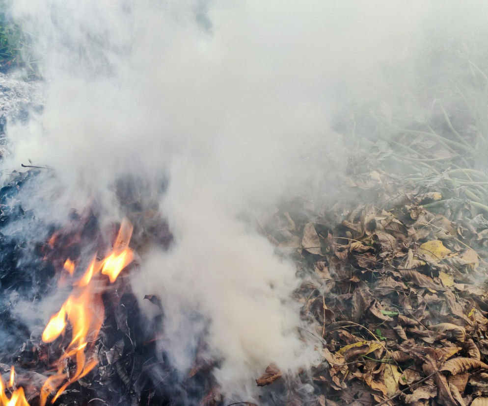 „To moja działka, mogę palić” – ten argument nie działa. Grozi za to mandat