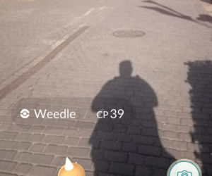 Pokemony opanowały Lublin