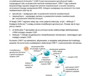 Odpowiedzi do arkusza maturalnego CKE - biologia rozszerzona 2026