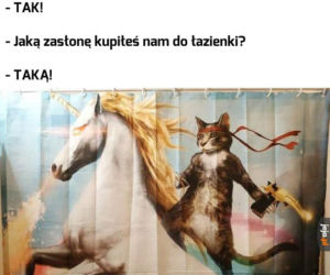 Dzień Kota 2020