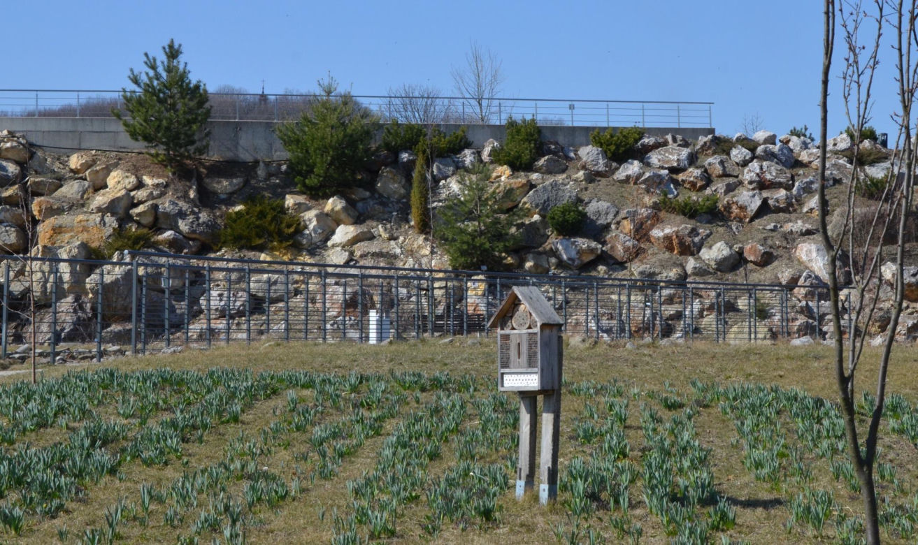 Ogród Botaniczny w Kielcach przed sezonem 2025