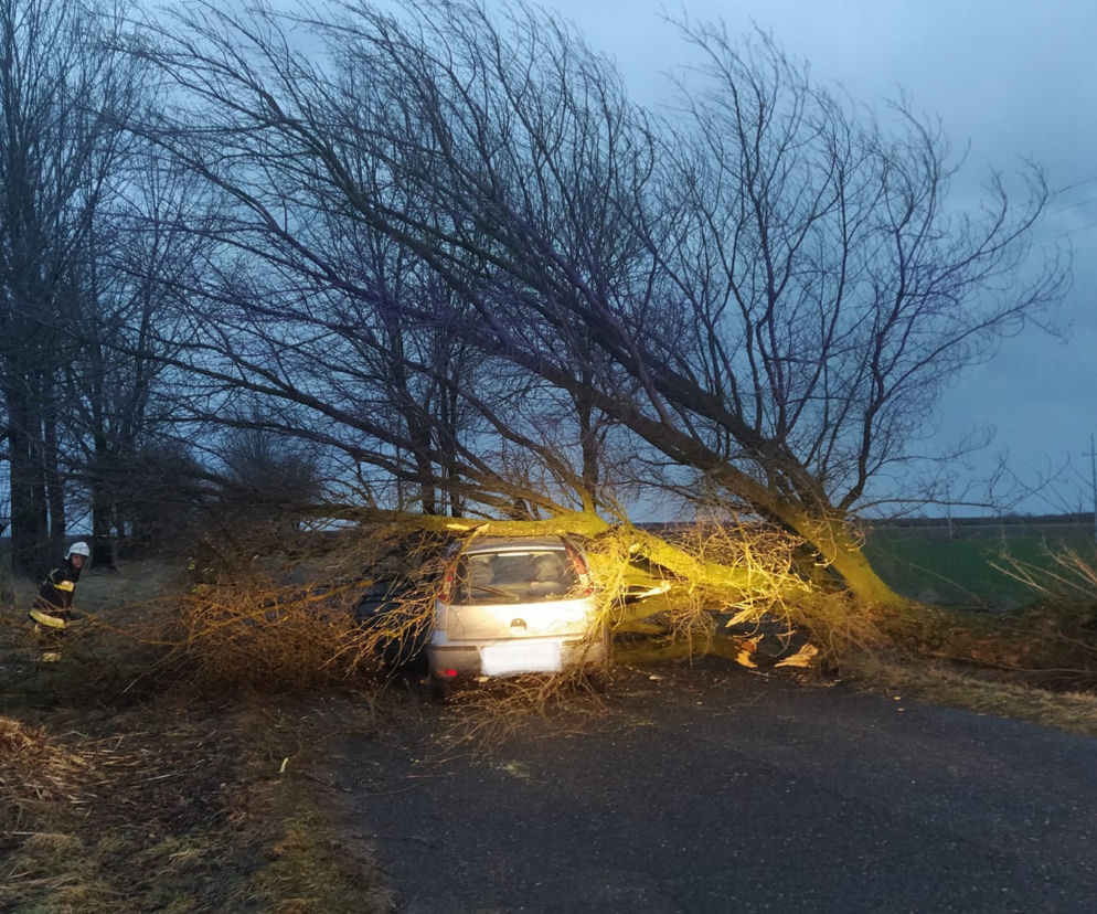 Leszczyńscy strażacy podsumowują wichury w regionie