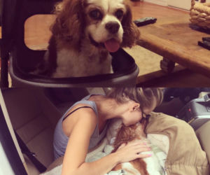 JOANNA KRUPA Z PSEM GINGER