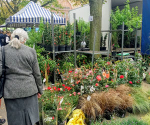 Kiermasz ogrodniczy Pamiętajcie o ogrodach