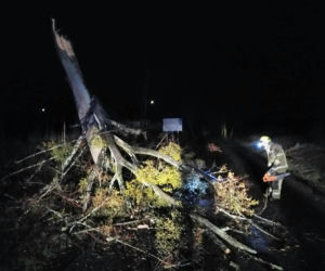 Silny wiatr na Warmii i Mazurach! Strażacy usuwają połamane drzewa