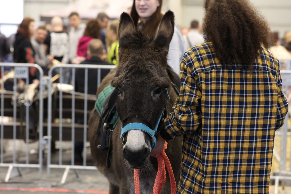 ZooPark 2023 w Lublinie przyciągnął tłumy!