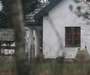 Prezydent wraca do życia na działce 
